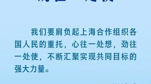 拜仁慕尼黑寻求凯恩加，网页版入口，盟，填补莱万空缺，报价高达1亿欧元